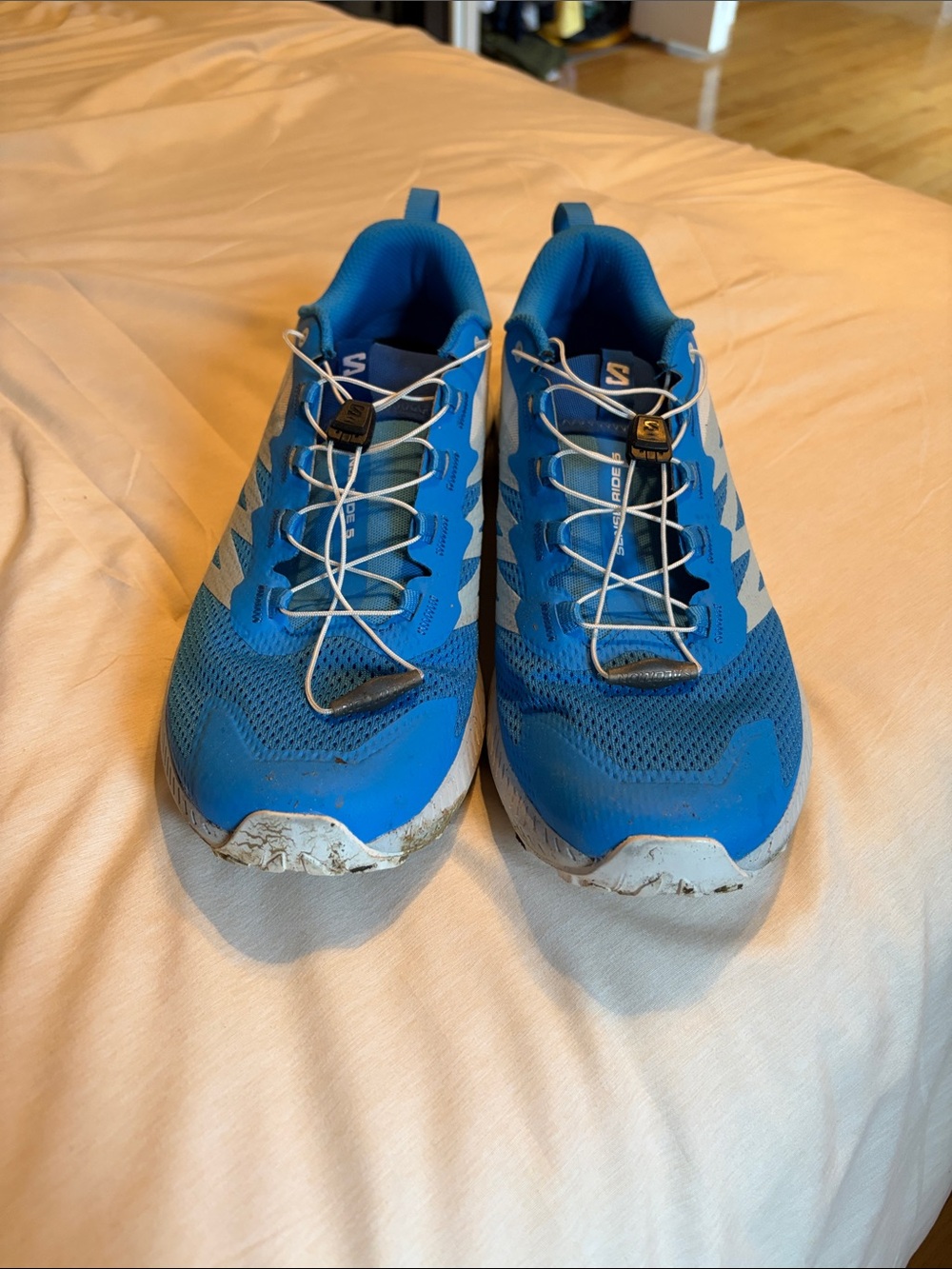 Salomon Sense Ride 5 - Picture 2 of 6